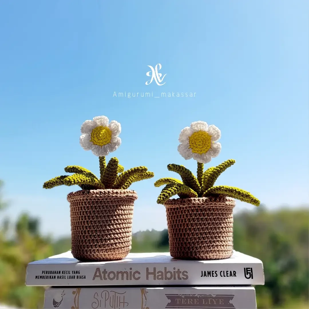 Amigurumi Daisy Flower